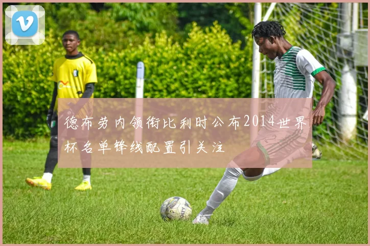 德布劳内领衔比利时公布2014世界杯名单锋线配置引关注