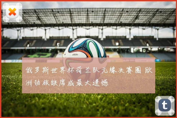 俄罗斯世界杯荷兰队无缘决赛圈 欧洲劲旅缺席成最大遗憾