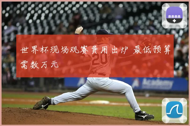 世界杯现场观赛费用出炉 最低预算需数万元