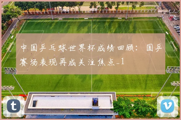 中国乒乓球世界杯成绩回顾:国乒赛场表现再成关注焦点_1