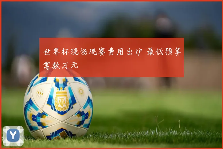 世界杯现场观赛费用出炉 最低预算需数万元