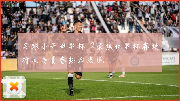 足球小子世界杯12聚焦世界杯赛场对决与青春热血表现