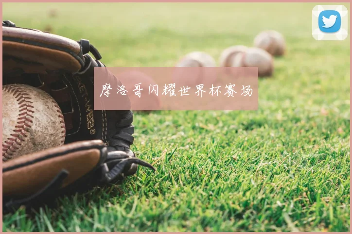 摩洛哥闪耀世界杯赛场