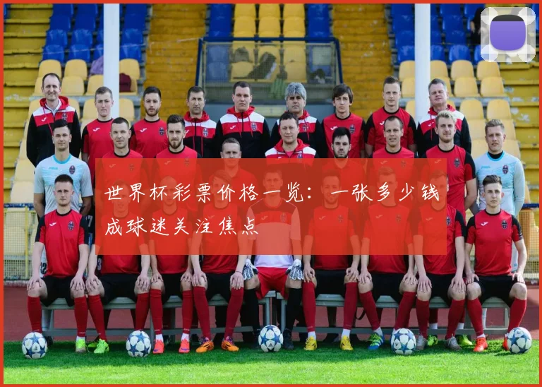 世界杯彩票价格一览：一张多少钱成球迷关注焦点